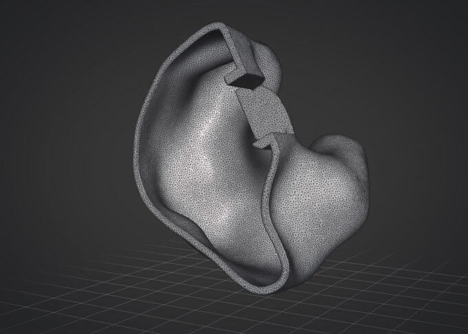 IEM 3D Model